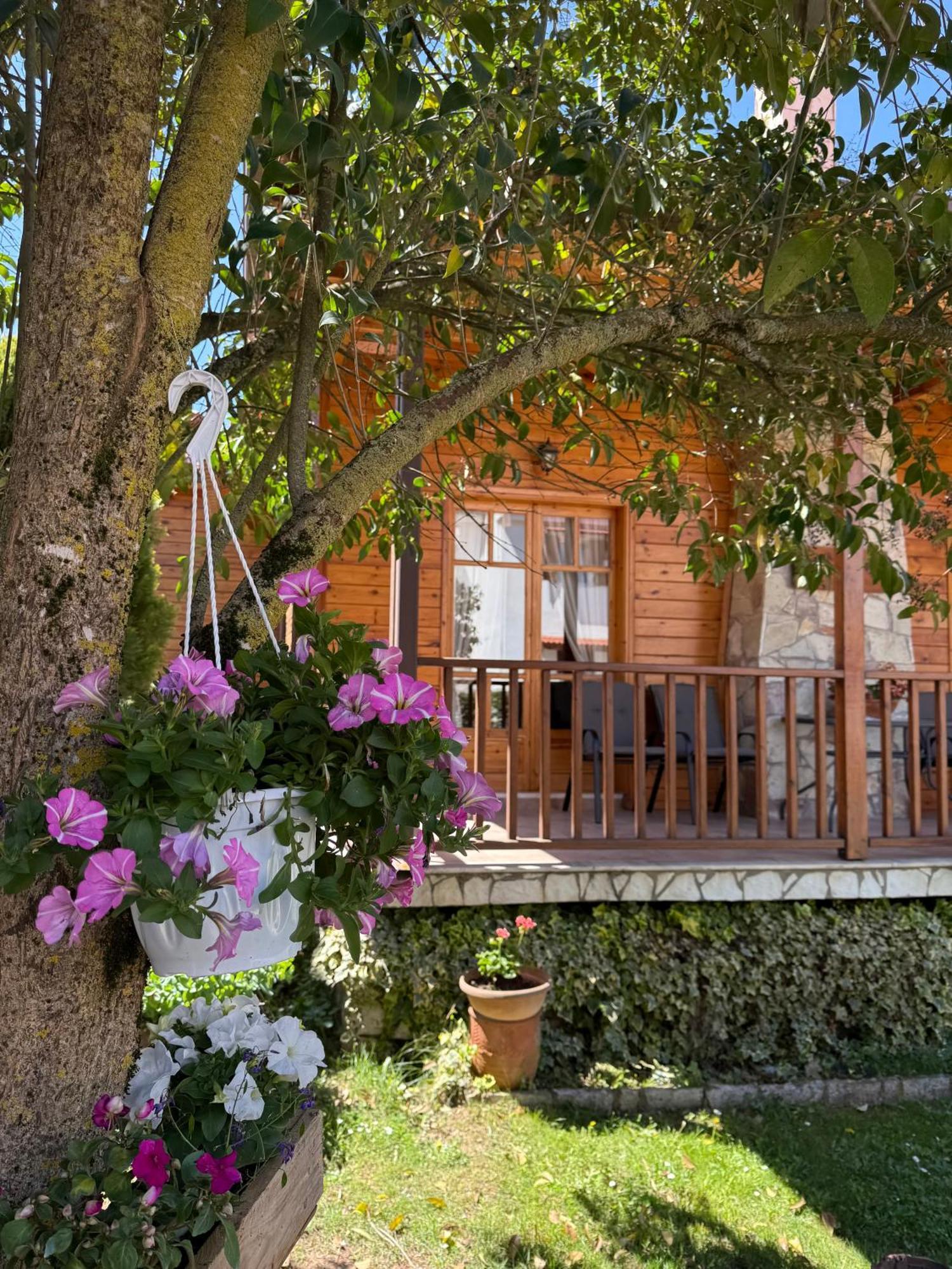 Xylino Chalet Калаврита Экстерьер фото